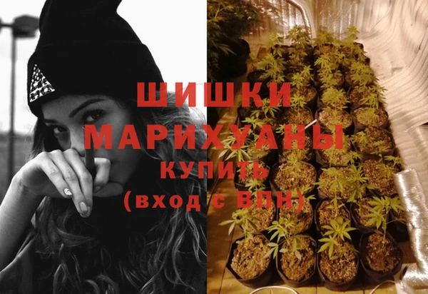 дурь Белоозёрский