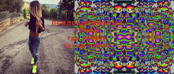 дурь Белоозёрский