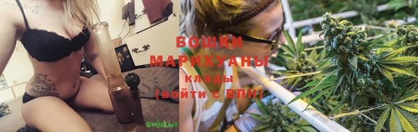 дурь Белоозёрский