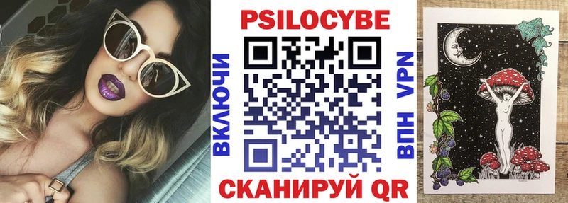 Псилоцибиновые грибы мицелий  mega маркетплейс  Гатчина 