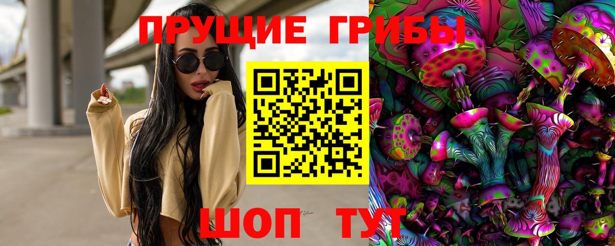 Гатчина  Псилоцибиновые грибы Psilocybine cubensis  Вход с VPN 